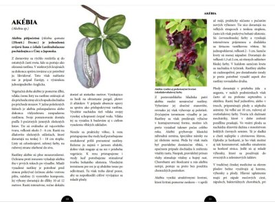 Menej známé ovocné druhy 1. a 2. diel autor Marián Komžík