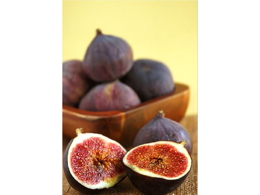 Ficus carica ´Brown Turkey´ - tmavoplodý