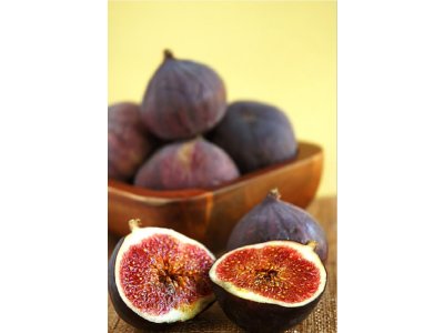 Ficus carica ´Brown Turkey´ - tmavoplodý