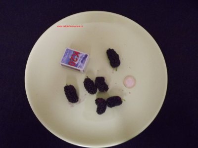 Morus nigra ´Trnavská´ - velkoplodá keř