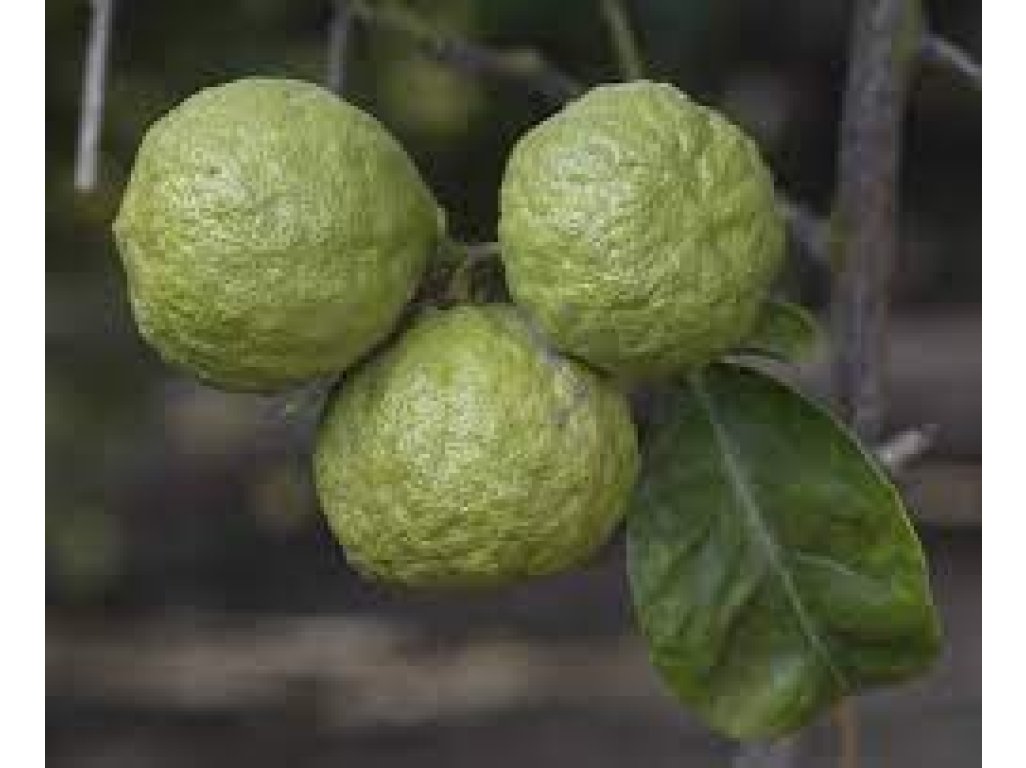 Citremon ´CRC 14-49´