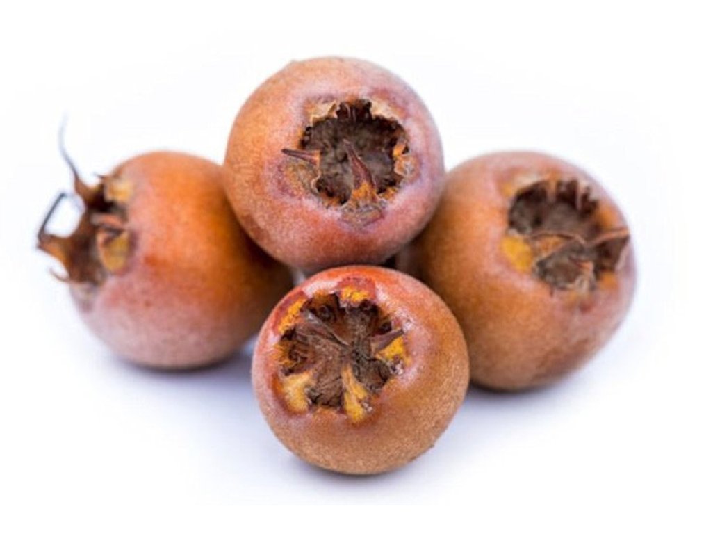 Mespilus germanica ´Sultani´ - mišpule německá  /SUMMER 2026/