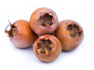 Mespilus germanica ´Sultani´ - mišpule německá  /SUMMER 2026/