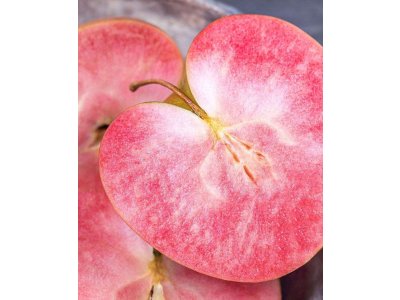 Malus domestica ´Almata´ - jabloň s červenou dužinou  /SUMMER 2026/