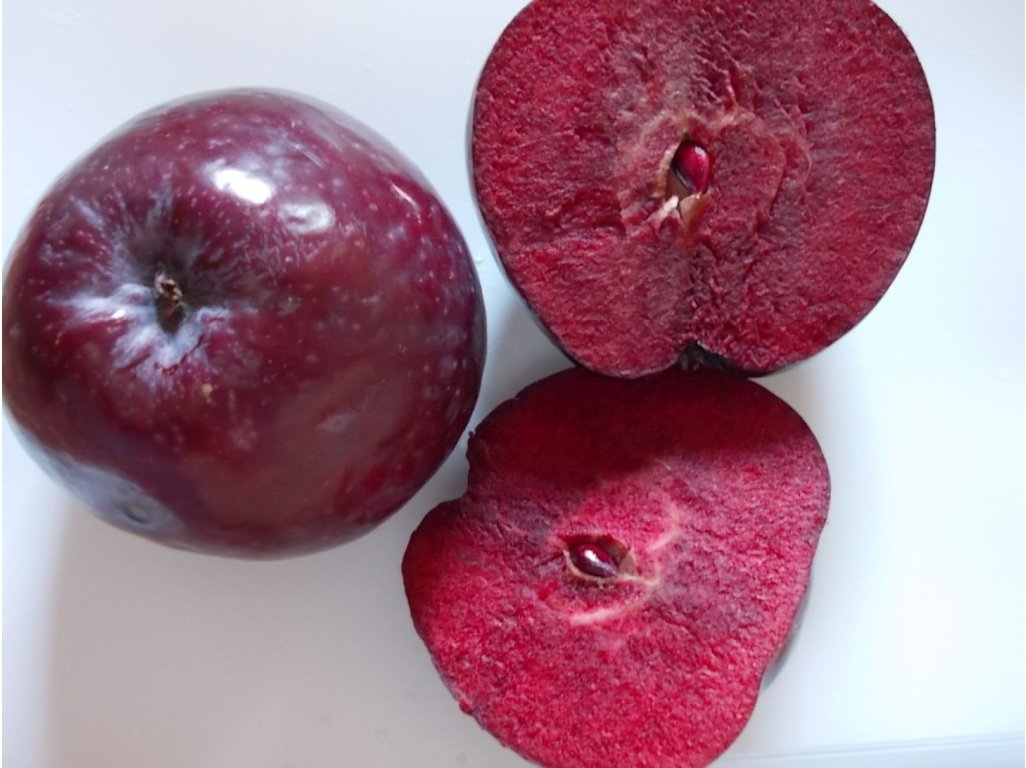 Malus domestica ´Simontornyai Véralma´ - jabloň s červenou dužinou "MEGARARITA"