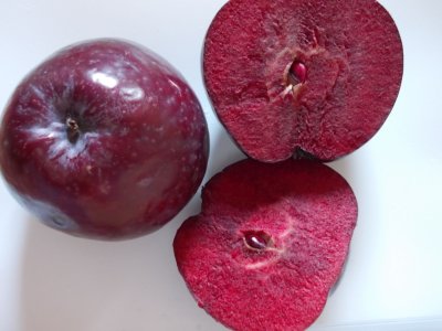 Malus domestica ´Simontornyai Véralma´ - jabloň s červenou dužinou "MEGARARITA"