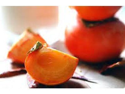 Diospyros kaki ´Cangzhou´ - japanese persimmon/ diospyros virginiana /summer 2026/