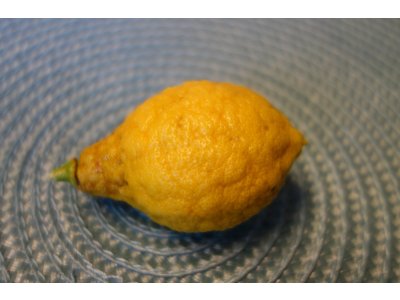 Citrus unshiu x YUZU - mandarinka x yuzu