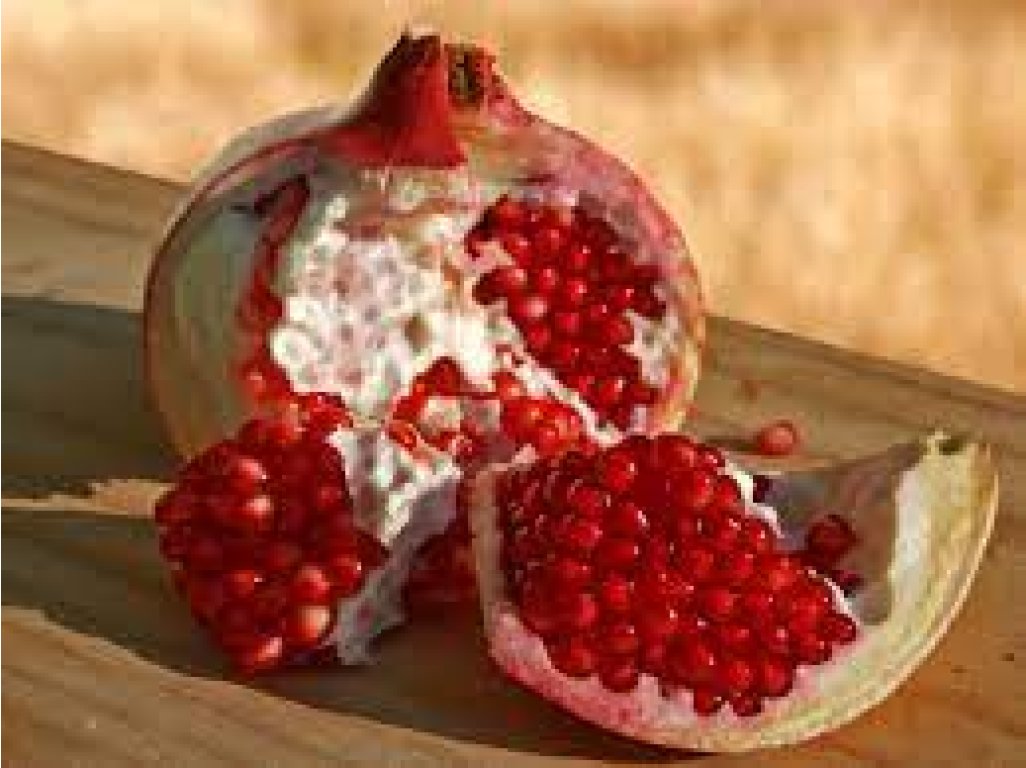 Punica granatum ´Al Sirin Nar´ - granatovník obecný - hardy pomegranate /MEGANEWS/