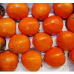 Diospyros kaki ´Dae Bong Gam´ - japanese persimmon - Meganovinka