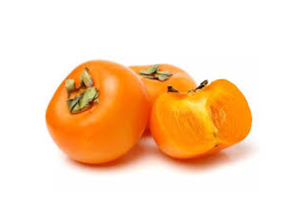 Diospyros kaki ´Maxim´ - japanese persimmon