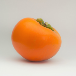 Diospyros kaki ´Maxim´ - japanese persimmon