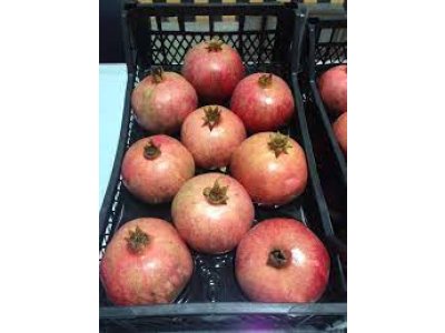 Punica granatum ´Kavkaz´ - granatovník obecný