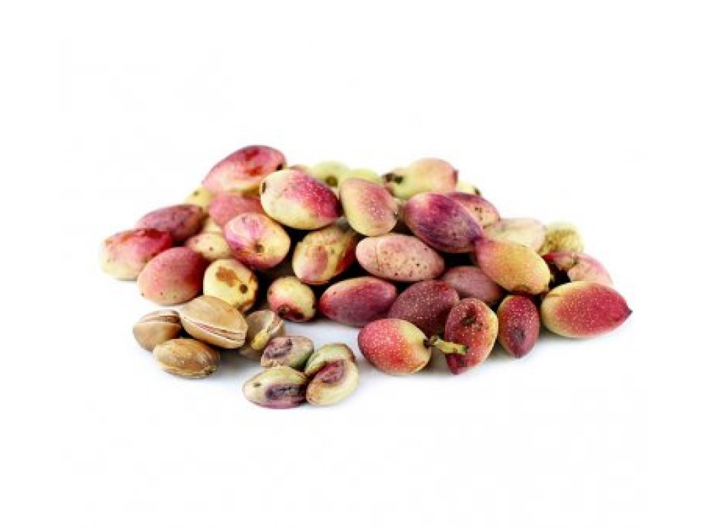 Pistacia vera ´Joley´ - female - samičí rostlina /SUMMER 2026/