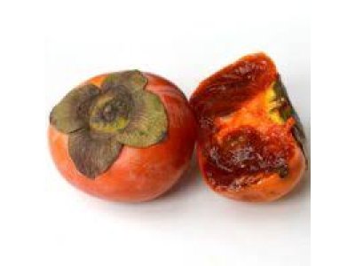 Diospyros kaki ´Koroliok´ - japanese persimmon /poslání po 20.3.2026/