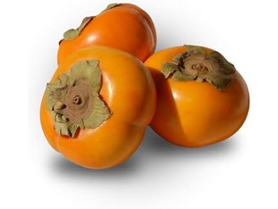 Diospyros kaki ´Koda Gosho´ - japanese persimmon /skladem po 16.3.2026/