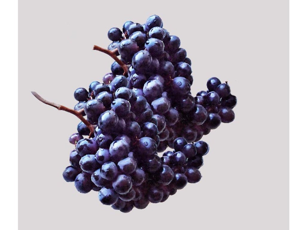 Vitis vinifera ´Black Magic´ - vinná réva bezsemenná modrá