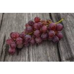 Vitis vinifera ´Vanessa´ - vinná réva bezsemenná růžová