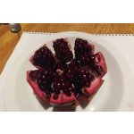 Punica granatum ´Kirmiz-Kabukh´ (Kamesz / Kermez) - granatovník obecný - hardy pomegranate /MEGANEWS