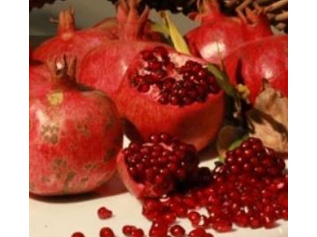 Punica granatum ´Göycay´ - granatovník obecný - hardy pomegranate /MEGANEWS/