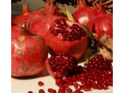 Punica granatum ´Göycay´ - granatovník obecný - hardy pomegranate /MEGANEWS/
