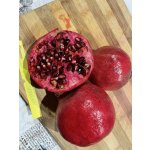 Punica granatum  ´Örmény´ - granatovník obecný - hardy pomegranate /MEGANEWS